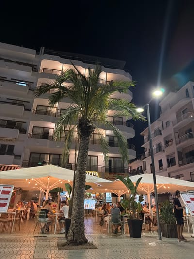 This image depicts a nighttime scene in the city of Sant Antoni de Portmany, Spain, likely on a promenade or street lined with businesses and accommodations. Dominating the foreground is a large palm tree with a textured trunk. Behind it, a white building with multiple floors and balconies is illuminated from within. To the right, another white building with balconies is visible, with a streetlamp casting a bright light downwards, creating a light streak in the dark sky.

In the mid-ground, an outdoor dining area is set up under large white umbrellas adorned with string lights. Several tables and chairs are occupied by patrons. In the foreground of the dining area, a young couple sits at a table, facing each other. The woman is wearing a black strapless top and shorts, while the man is in a white t-shirt and shorts. To the right, a man in a dark t-shirt and shorts stands next to a table with a menu. Various plants in large pots are interspersed throughout the dining area, adding greenery to the scene. Signs indicating "KITCHEN OPEN ALL" are visible on one of the buildings. The ground is paved with decorative tiles. The overall atmosphere suggests a lively evening in a tourist area.