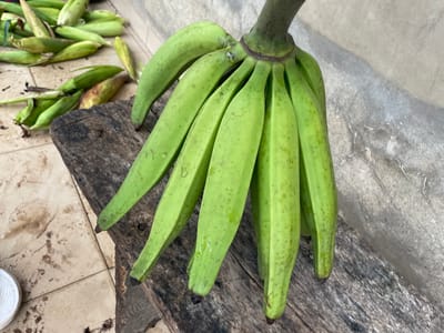 A bunch of unripe green bananas lies on a wooden surface next to a tiled floor. The bananas are long and slightly curved, with some small brown spots on their skins. The wooden surface appears weathered and rustic, possibly a cutting board or a table. The tiled floor has a beige and brown checkered pattern, with some debris scattered on it. In the background, to the right of the bananas, there is a pile of what appear to be banana peels or husks, suggesting the bananas may have been recently harvested or prepared. A white object, possibly a bowl or container, is partially visible in the upper right corner. The lighting suggests it is daytime, with natural light illuminating the scene. The overall impression is of a domestic or market setting in a tropical or subtropical region, consistent with the provided location context of Aiyegunle, Nigeria. No people or specific activities are depicted, but the arrangement suggests a moment of rest or preparation. There is no visible text in the image.