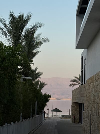 A serene view of the Dead Sea at dusk, framed by lush palm trees and modern architecture, is captured in this image. The sky is a soft gradient of blue and pink, casting a warm glow over the scene. The Dead Sea stretches out in the background, its calm waters reflecting the muted colors of the sky. In the distance, the mountains of Jordan are visible, their contours softened by the twilight.
In the foreground, a pathway lined with palm trees leads to the water's edge. A solitary figure stands on the pathway, looking out at the sea. A green umbrella, providing shade from the sun, is set up on the beach. To the right, a contemporary building with a stone facade stands tall, its clean lines contrasting with the natural beauty of the landscape. The building's windows offer glimpses of the interior, hinting at a place of rest and relaxation.
The overall atmosphere is one of tranquility and peace. The image evokes a sense of calm and invites the viewer to immerse themselves in the serene beauty of the Dead Sea. This scene is likely located in Tamar Regional Council, Israel, a region known for its stunning natural landscapes and proximity to the Dead Sea.