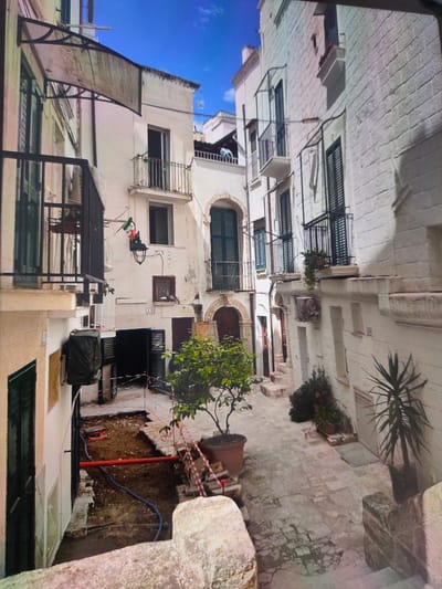 The image shows a narrow cobblestone alleyway in a European city, characterized by tall, whitewashed buildings with traditional architectural features such as balconies with wrought-iron railings, wooden shutters, and arched doorways. The sky is visible at the top, appearing blue with some clouds.
On the left side of the alley, a building features a balcony with black railings, a large window, and an awning overhead. Below this, there is an area of exposed earth with red and blue pipes, suggesting ongoing construction or repair work. Safety tape is visible around this area.
The right side of the alley is dominated by a white stone building with multiple windows, each equipped with dark green shutters. Several small balconies with railings jut out from this building. A potted tree is centrally located in the alley, with a larger potted plant and a spiky succulent plant visible further down.
The ground is paved with irregular cobblestones and flagstones, showing signs of wear. The overall impression is of an old, somewhat rustic urban environment. The image does not depict any people.
The provided context states the location is in the city of Zrenjanin, Serbia. This specific alleyway's exact location within Zrenjanin is not identifiable from the image alone.