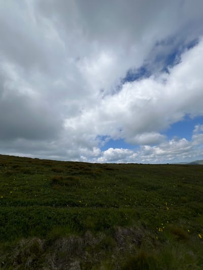 The image shows a rolling green hillside covered in grass and scattered yellow wildflowers. The sky is filled with dramatic, grey and white cumulus clouds, with patches of blue sky visible. The terrain appears to be natural and uncultivated, suggesting an outdoor, possibly rural or mountainous environment. There are no people or man-made structures visible in the frame. The scene depicts a natural landscape under a cloudy sky.