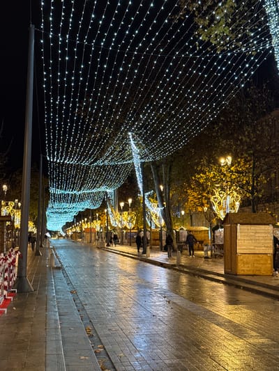 An outdoor nighttime scene showcases a pathway adorned with festive lighting. Illuminated strings create a tunnel-like effect on the left side of the path. Trees and light fixtures add to the warm ambiance. A row of structures, possibly market stalls, line the right side of the path, where people are walking. The pavement appears wet, reflecting the lights.