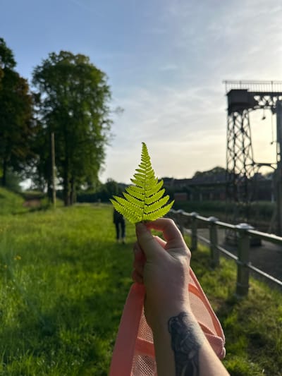 A person holds a bright green fern leaf up to the light in a field in La Louvière, Belgium. The subject's right hand and part of their arm, which has a tattoo, are visible holding the leaf. They wear a peach-colored mesh garment. In the background, a green field slopes gently downward. Trees dot the left side of the frame. A canal bridge, a landmark in La Louvière, stands in the midground under a slightly cloudy sky. Two people are walking in the field near the fern, but they are out of focus. A low wooden fence runs along part of the edge of the field.