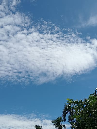 The image depicts a bright blue sky filled with scattered white clouds. In the lower right corner, the lush green foliage of trees, possibly palm trees, is visible, extending into the frame from the bottom edge. The scene appears to be an outdoor environment. The location is identified as Keudekrueng, Indonesia. There are no people or active subjects present in the image.