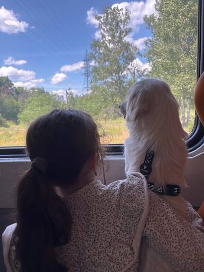 A person and a dog are looking out a window, possibly on a train. The person has long, dark hair pulled back into a ponytail, and is wearing a light-colored shirt with a floral pattern. The dog is white and fluffy, with a black collar that has a small tag that reads "PETFORT". The window shows a view of trees, a bright blue sky with white clouds, and a distant power line tower. The lighting suggests it is daytime. The overall mood is peaceful and contemplative, with both subjects seemingly enjoying the scenery. The location is Moskovka, Russia.