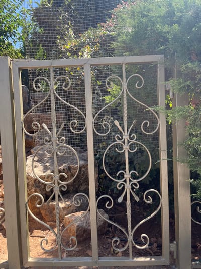 A light-colored metal gate, likely painted beige or off-white, dominates the scene. The gate features two panels filled with a square wire mesh and ornate, symmetrical scrollwork crafted from rounded metal bars, including C-scrolls, S-scrolls, and central decorative elements resembling stylized bundled arrows or rods. A gate post is visible on the left, and a hinge mechanism is on the right, connecting to an adjacent gate section or frame. Behind the gate, a natural landscape is visible. To the left, large, light-brown boulders are situated on reddish-brown soil. To the right and through the gate's mesh, dense green foliage, including a prominent evergreen shrub resembling a cypress or juniper, and various trees are present. Some distant vegetation displays reddish hues. A clear blue sky is visible in the upper left. The scene is brightly illuminated by direct sunlight, casting shadows on the rocks and the gate. No individuals, animals, or vehicles are present. The location is within the Menashe Regional Council, Israel.