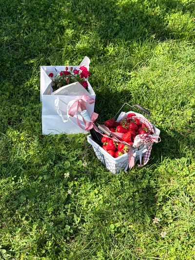The image shows a picnic setup on a grassy lawn. Two items are visible: a white gift bag containing a bouquet of red roses, and a wire basket filled with fresh strawberries. Both items are decorated with red and white checkered ribbons. The background consists of green grass with some clover and small white flowers, illuminated by sunlight creating shadows. The specific location in Alagir, Russia is not discernible from the visual information provided. There are no people present in the scene.