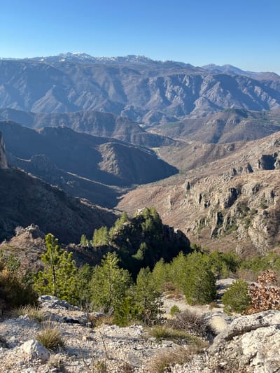 This image depicts a vast mountainous landscape in Klobuk, Bosnia and Herzegovina, under a clear blue sky. The foreground consists of rough, rocky terrain sparsely covered with light-colored dry grasses and small, scattered coniferous trees. A dark, irregular object, possibly a discarded item, is partially visible on the ground among the rocks in the lower-left quadrant.
The midground reveals a series of deep valleys and ridges, characterized by steep slopes of exposed rock and areas covered with a mix of bare deciduous trees and clusters of evergreen foliage. Distinct shadows fall across these geographical features, indicating direct sunlight from an elevated position.
In the background, multiple layers of mountains extend to the horizon, gradually fading in color intensity. The most distant peaks are capped with visible patches of snow. A lighter-colored strip, consistent with a road or cleared pathway, is discernable within a valley in the mid-to-far distance. No people, animals, or structures are prominently featured in the scene.