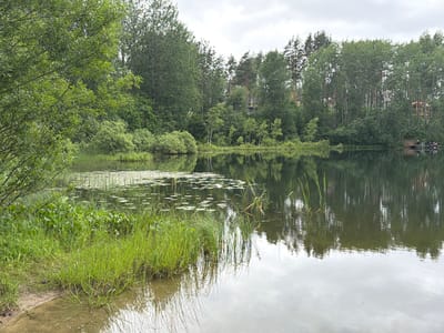 The image depicts a serene lakeside scene in Vaskelovo, Russia, under an overcast sky. The water is calm and reflects the lush green trees and cloudy sky. On the left side of the frame, tall grass and vegetation grow along the sandy shore. Scattered lily pads dot the surface of the lake closer to the shore, with some reeds and taller grasses emerging from the water.

In the background, a dense forest lines the opposite bank of the lake. The trees are a mix of deciduous and coniferous varieties, creating a thick wall of green. Peeking through the trees are glimpses of houses, suggesting a residential area or a dacha community bordering the natural landscape.

On the right side of the lake, a small wooden pier extends into the water. Two people are visible on the pier, possibly fishing or enjoying the view. Another person is seated near them. The overall atmosphere is peaceful and tranquil, typical of a quiet summer day in a natural setting. The time of day appears to be late morning or early afternoon, given the diffused light. No text is visible in the image.