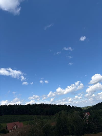 The image depicts a rural landscape under a bright blue sky with scattered white clouds. The foreground features a pile of dark soil in front of a house with a red tile roof. The house, partially visible, has tan-colored walls and a few windows. Behind the house and soil pile, a dense, dark green forest extends across the middle ground. In front of the forest and to the left of the house, there appears to be a vineyard or densely planted field. The background shows rolling hills covered in trees, and further in the distance, a hazy horizon. The scene is set in the village of Stróża, Poland.