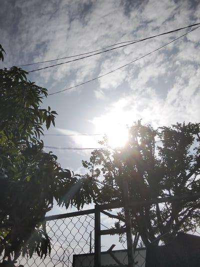 The image depicts a bright, overcast sky with scattered clouds, partially obscured by the silhouettes of trees and power lines. In the foreground, a chain-link fence runs horizontally across the lower portion of the frame. To the left, a large, dark green tree with dense foliage dominates the frame, casting shadows. To the right, another tree with less dense foliage is visible, with the sun shining through its branches, creating a lens flare effect. The overall impression is one of an outdoor scene, possibly a backyard or a public space, in the city of Phú Sơn, Vietnam. There are no people or specific actions depicted in the image. The environment appears to be a typical urban landscape with vegetation and infrastructure.