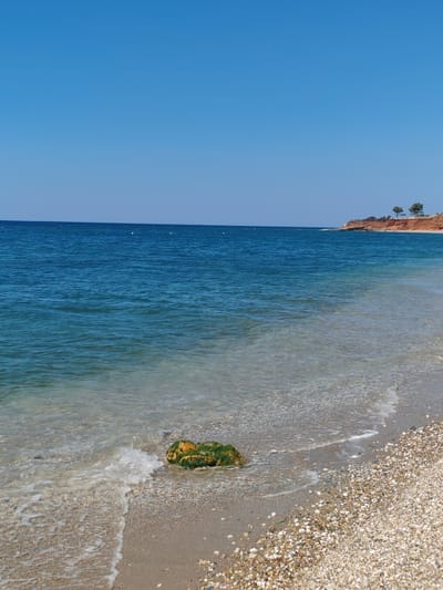 This is a photograph of a beach in Alexandroupolis, Greece. The image features a clear blue sky above a calm, blue sea. The foreground is a sandy beach with numerous small, light-colored pebbles. A rock covered in green moss is visible on the left side of the frame, partially submerged in the shallow water. In the distance, a reddish-brown cliff juts out into the sea, topped with a few evergreen trees. The scene depicts a serene coastal environment under a bright, sunny sky.