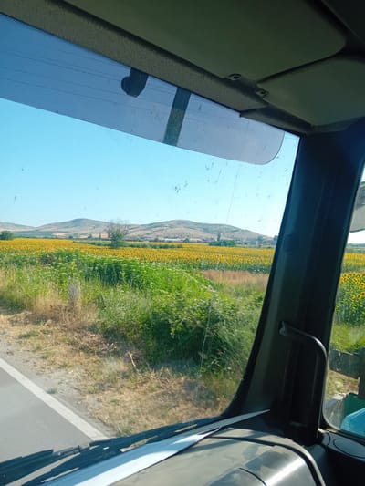 The image is a photograph taken from inside a vehicle, looking out through the windshield. The view is of a rural landscape under a clear blue sky. In the foreground, the dashboard and windshield wipers of the vehicle are visible. Outside, a vast field of sunflowers stretches towards rolling hills in the background. The sunflower field is vibrant yellow, interspersed with patches of green vegetation. A road runs along the left side of the frame, bordering the field. The overall scene suggests a sunny day in a agricultural area, likely in or around Krichim, Bulgaria, given the information provided.