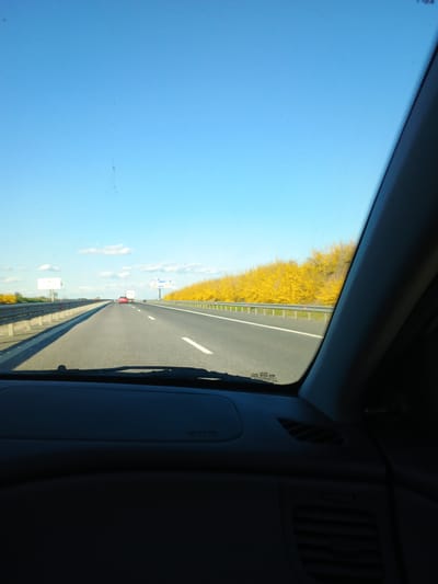 The image shows a view from inside a car traveling on a highway near Rupkite, Bulgaria. The sky is blue with scattered clouds. A line of yellow flowering trees runs along the side of the highway. A guardrail separates the trees from the road. A red car is visible in the distance. The interior of the car is visible on the right side of the frame, with the dashboard and air vents partially visible.