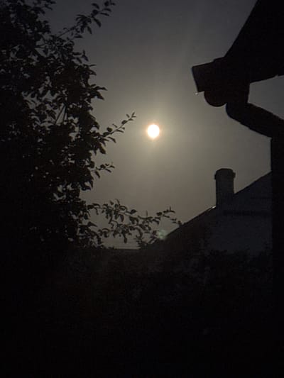 The image captures a nighttime or twilight scene, possibly in Berezhany, Ukraine, featuring a brightly lit moon or sun partially obscured by atmospheric haze. In the foreground, a dark silhouette of a tree with branches and leaves is visible on the left side. To the right, the dark silhouette of a building's roof and a chimney is present. The background is a gradient of dark grey to lighter grey, indicating the sky. The overall mood is somewhat mysterious and dimly lit.