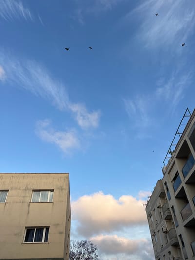 The image captures an upward view of a bright blue sky, framed by two buildings. The sky, dominating the left and central parts of the frame, features wispy cirrus clouds and a larger, soft peach-colored cumulus cloud with hints of grey, prominent on the right side. Four small, dark birds are visible in flight across the blue expanse: one in the upper left, one further down on the left, and two others closer to the center-left.

On the top side of the frame, a light-colored building, possibly cream or pale grey, extends downwards, viewed from below. It features multiple windows, balconies, and what appear to be air conditioning units or ventilation structures along its upper edge. Another similar light-colored building partially occupies the right side of the frame, extending from the middle downwards. This building exhibits a somewhat weathered facade with visible streaks and houses several windows. Bare, dark tree branches are partially visible in the bottom-right corner, behind the building and the large cloud.

The warm glow on the clouds suggests either an early morning or late afternoon setting. The weather appears clear with scattered clouds. No text is visible in the image.