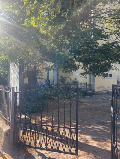 In Berehove, Ukraine, a wrought-iron gate stands open, leading into a courtyard paved with cobblestones. Sunlight filters through the dense foliage of a large tree, casting dappled shadows on the ground. To the left of the tree, a glass display case is visible. Behind the tree, a bicycle with red-rimmed wheels leans against a black metal fence. The fence encloses a small area with pink flowers. In the background, a pale yellow building features architectural details like pilasters and several dark plaques mounted on its facade. The scene appears to be a serene, sunlit corner of the city.
