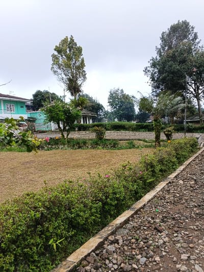This image depicts an outdoor park or garden area under an overcast sky, purportedly located in Bien Hoa, Vietnam.
In the foreground, a rough gravel path composed of various sizes of dark gray and brown pebbles and dirt occupies the right side, bordered on its left by a clean concrete curb. Immediately adjacent to the curb is a dense, well-maintained hedge of small green bushes, punctuated by a few scattered pink blossoms.
Beyond the hedge, the mid-ground features a large, rectangular expanse of dry, yellowish-brown grass, suggesting dormant or parched conditions. Further back, a strip of manicured landscaping includes smaller green bushes and a few individual flowers, some appearing red or yellow.
The background reveals a mix of architecture and dense foliage. On the far left, a multi-story building with a light teal-colored exterior and white window frames is partially visible. To its right, a smaller white building with a dark roof and prominent white columns stands. Several large trees dominate the skyline; a tall, slender tree with sparse, light green foliage rises centrally, flanked by other dense, dark green trees. A palm-like plant is also discernible on the right side of the mid-ground. The sky is a uniform, light gray, indicating an overcast day. No people or active interactions are visible in the scene.