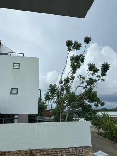 The image depicts an outdoor scene in Lam Vien - Da Lat, Vietnam, under a cloudy sky. In the foreground, a light blue wall is prominent, with a stone base. To the left, a portion of a modern building is visible, featuring a pale blue exterior with two square windows on its side. Adjacent to the building, a railing and balcony are partially seen. A cluster of trees with sparse green foliage and thin branches are positioned in the center, leaning to the right. Beyond these trees, more greenery and buildings with green roofs are visible in the background. A curved asphalt road is also present on the right side of the image, bordered by vegetation. The overall atmosphere is overcast and somewhat windy, suggested by the leaning trees.