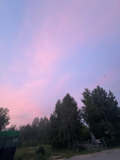 The image depicts a scenic twilight sky with vibrant pink and purple hues above a line of trees and vegetation. In the foreground, a dark, angular structure, possibly a fence or a section of a building, is visible on the left. A paved surface, likely a road, is present at the bottom right of the image. There are no people or animals visible. The overall scene suggests an outdoor environment, potentially on the outskirts of a settlement, with the characteristic colors of a sunset or sunrise dominating the sky. The location is identified as the city of Megion, Russia.