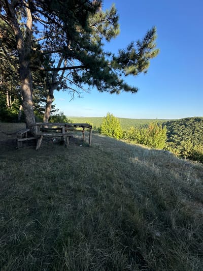 The media file depicts an outdoor scene from a high vantage point, with the camera oriented vertically. In the foreground, to the left, is a large pine tree with a thick trunk and branches that extend across the frame. Beyond the tree, the landscape unfolds into a vista of rolling hills covered in dense green forest. The sky is a clear, bright blue, suggesting a sunny day.
In the mid-ground, on the right side of the frame, is a rustic wooden picnic table and bench set, appearing weathered and somewhat dilapidated. It is situated on a grassy slope covered in dry, tall grass. The table and benches are made of rough-hewn wooden planks.
Further in the distance, the forest stretches out towards a hazy horizon, with hints of what might be a body of water or a valley. The overall impression is one of a natural, perhaps remote, scenic overlook. The time of day appears to be late afternoon or early evening, judging by the low angle of the sun casting shadows. There are no people visible in the image. The location is identified as Pryvorottia Druhe, Ukraine.