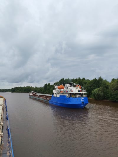 Two cargo ships are on the Vytegra River, under a cloudy sky. The ship in the foreground is on the left side of the image and appears to be empty. It is light gray and has blue railings. The second ship, a blue vessel named "РУНА" (RUNA), is on the right side of the image and is carrying a cargo of what appears to be covered lumber or metal. It has orange life preservers on its upper deck. The riverbanks are lined with dense green trees. The water is a murky brown. The scene depicts a calm day on the river, likely a transport route.