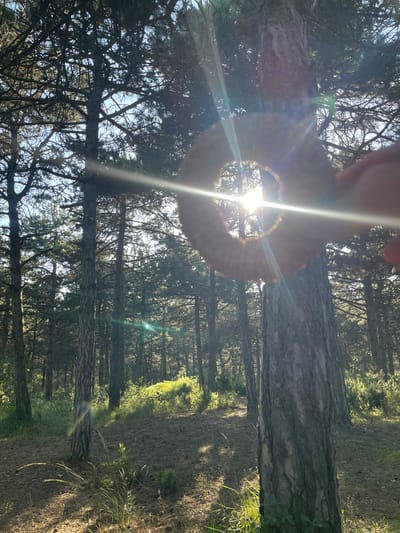 An image captures a sun-drenched forest scene, possibly located in Arnavutköy, Turkey. The sun's rays pierce through the canopy of tall pine trees, creating a lens flare effect in the center of the frame. A circular object, possibly a bracelet or ring, held by a hand, is positioned in front of the sun, further enhancing the flare and creating a halo effect. The forest floor is covered with pine needles and sparse green vegetation. The lighting suggests it is either early morning or late afternoon, with long shadows cast by the trees. The image is taken from a low angle, looking upwards towards the sky and the sun.
