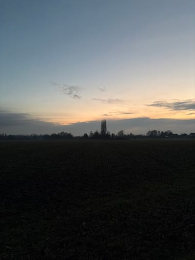 A landscape shot split almost evenly between a dark field on the right and a sky on the left. The sky transitions from blue to orange near the horizon, with some clouds present. A line of trees separates the field and the sky. The photo has a somewhat gloomy or dusky feel, suggesting early morning or late evening.