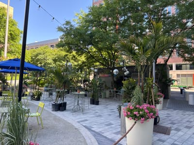 This image depicts a vibrant outdoor patio or park area, likely connected to a cafe or restaurant, under a clear blue sky. The ground is paved with light and dark gray blocks arranged in a geometric pattern. The space is richly decorated with various potted plants, including tall palm trees, broad-leaf foliage, and grasses, creating a lush, green environment.
Numerous small, round tables are distributed throughout the area, some accompanied by bright yellow or light green metal chairs, suggesting an outdoor dining or relaxation spot. On the left, several blue market umbrellas provide shade. Overhead, string lights with clear bulbs and additional strings adorned with miniature disco balls are strung between trees and structures, adding a festive element. Large white planters filled with vibrant pink geraniums are prominent in the foreground and along the edges of the patio.
In the background, modern buildings with brick facades and windows are visible through the dense foliage of the trees. The bright lighting indicates a sunny day, likely morning or late afternoon, with no clouds in the sky. No people are visible, giving the scene a tranquil and inviting atmosphere. On a building towards the back, a sign partially reads "SAGUARO NATURAL WINE BAR." The setting suggests a pleasant urban oasis designed for leisure in Cambridge, United States of America.