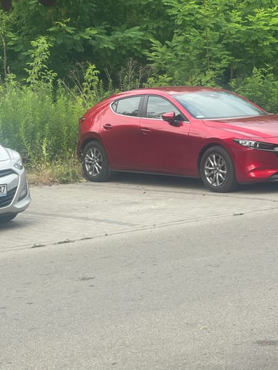 In Konstantynów Łódzki, Poland, two cars are parked on a paved surface adjacent to a roadside area with dense green foliage and trees. The car on the right is a red Mazda hatchback, and the car on the left is a silver Hyundai hatchback. The red Mazda is positioned closer to the foliage. The foreground of the image shows an asphalt road. No people are present in the scene.
