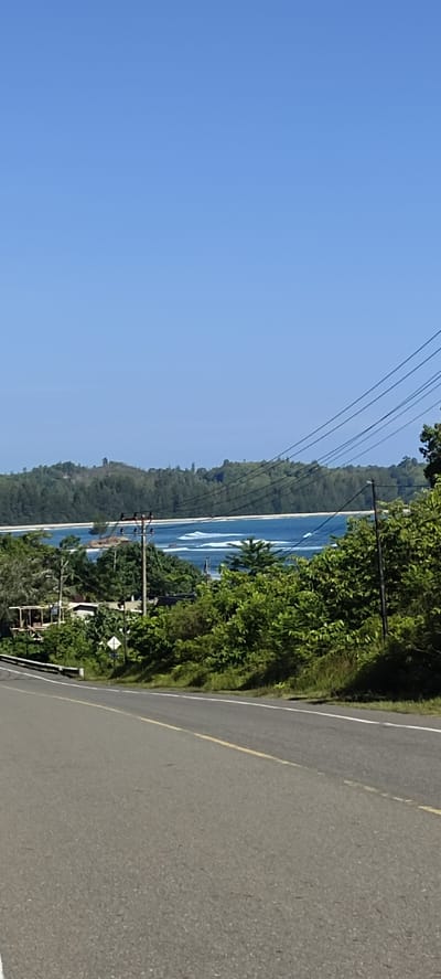 A vertical, eye-level, wide shot captures a serene coastal landscape. The clear blue sky dominates the upper portion of the image. Below it, a lush green hillside is densely populated with trees, with a visible break in the foliage revealing the blue ocean with white-capped waves. A road curves into the frame from the bottom left, its asphalt surface marked with yellow and white lines. To the right of the road, a dense cluster of green trees and bushes grows. In the middle ground, a collection of buildings, some with wooden structures and roofs, are nestled amongst the vegetation. Power lines stretch across the frame, supported by poles. The scene appears to be a view of the coast near Crakmong, Indonesia.
