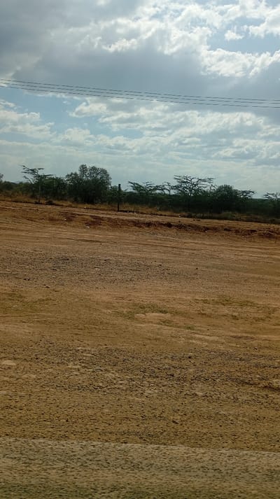 The image presents an expansive outdoor scene characterized by a dry, natural landscape under a cloudy sky.

In the foreground, the ground is primarily composed of reddish-brown dirt or gravel, appearing somewhat uneven with visible texture and subtle depressions that might indicate worn paths or tire tracks. The very bottom edge of the frame shows a slightly greener hue, suggesting either sparse ground cover or a different type of earth.

The midground features a horizon line dominated by a scattered array of trees and bushes. Many of these trees are slender and have a sparse, thorny appearance, typical of acacia or similar species found in arid or semi-arid regions. Their branches are distinct against the lighter background. In the central part of this tree line, there's a denser cluster of foliage. A thin, dark, vertical object, possibly a wooden post or a small utility pole, stands upright slightly to the left of the center within the tree line.

The background is filled with a vast sky. It's largely covered by a mixture of white and light grey cumulus clouds, with patches of brighter blue sky visible in between, suggesting a partly cloudy or overcast day. Stretching horizontally across the upper middle section of the sky are three thin, dark lines, which appear to be power lines or telephone wires.

The overall impression is one of open space and natural wilderness, possibly a savannah or a rural area with dry, uncultivated land. The lighting is bright and natural, consistent with daytime. There is no visible text or identifiable human activity, emphasizing the natural setting.