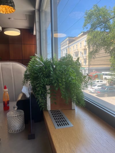 The image, captured in Kaspiysk, Russia, presents a brightly lit interior scene looking out onto an urban environment through a large window. In the foreground, a vibrant artificial plant with numerous green leaves and some white floral accents is prominently displayed in a rectangular wooden planter on a light-colored wooden windowsill or counter. To the right of the plant, a silver-colored vent is integrated into the wooden surface.

Through the window, a clear blue sky and abundant green trees are visible, suggesting a sunny day. A light-colored, multi-story building with numerous windows stands across the street, below which several cars are parked. Overhead power lines or utility wires are also visible against the sky. Reflections on the glass add a shimmering quality to the outdoor view.

The interior space includes a segment of a comfortable, upholstered beige seating, likely part of a booth or armchair. On the surface next to the seating, a decorative clear glass jar with a patterned surface and a lid is present. An orange-red squeeze bottle with a red cap, possibly containing sauce or condiment, also sits on the surface, displaying a QR code and unreadable text on its label. A white tissue is visible, suggesting a tissue holder nearby. The background reveals modern interior design elements, including varied wall textures, a circular light fixture, and a geometric gold and black light. The overall scene suggests a cafe, restaurant, or lounge setting during daytime.
