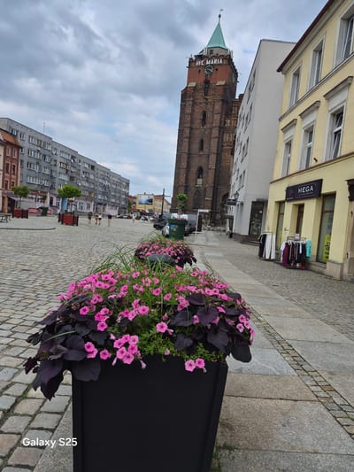 This is a street scene in Chojnów, Poland, captured on a cloudy day. The image is taken from a low angle, looking up at buildings and the sky, with a large planter filled with pink flowers and dark purple foliage in the foreground, positioned to the right of the frame.

The scene depicts a cobblestone street lined with buildings. On the left, a tall, reddish-brown brick building with a green steeple and a clock tower dominates the mid-ground. Text visible on the tower reads "AVE MARIA". Adjacent to this is a yellow building with shopfronts. One shop has a sign that says "MEGA CLOTHING FOR YOU" and displays racks of clothing outside. Further down the street, a long, grey, multi-story apartment building with many windows is visible.

Several people are walking on the street, appearing as small figures in the distance, suggesting a casual atmosphere. The sky is overcast with grey clouds, indicating it might be late afternoon or simply a cloudy day. The presence of shops and a church tower points to a town or city center. The overall mood is calm and everyday, with the vibrant flowers adding a touch of color to the urban landscape. The text "Galaxy S25" is visible in the bottom right corner of the image, indicating the device used to capture the photograph.