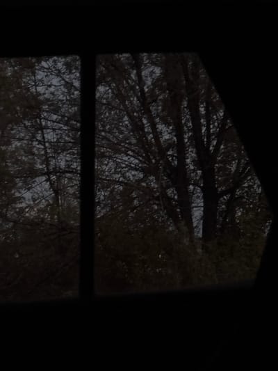 The image shows a view of trees through a window or opening. The scene is dark, suggesting it is nighttime or dusk. The trees are bare of leaves, indicating it is likely autumn or winter. The opening through which the trees are viewed is framed by darkness, with a vertical division visible in the center. The environment appears to be natural, with dense foliage. There are no people or specific objects that would suggest a particular location within the city of Akhuryan, Armenia. The overall impression is a natural landscape viewed from an indoor or sheltered perspective.