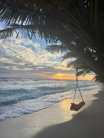 A landscape-oriented shot depicts a serene beach scene in Ukulhas, Maldives, at sunset. A palm tree is situated to the left, its fronds partially framing the image against a sky with scattered clouds. The sun, partially obscured by clouds, casts a golden hue on the ocean and beach. A wooden swing hangs from one of the palm tree's branches, suspended above the water. The waves roll gently onto the sandy shore. In the distance, there appear to be two small, dark floating objects in the ocean. The scene suggests tranquility and relaxation.