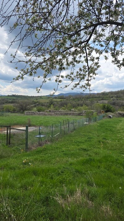 The image displays a vibrant spring landscape in Drenkovo, Bulgaria, under a partly cloudy sky. In the foreground, a branch of a tree heavily laden with delicate white blossoms and some green leaves extends into the frame from the upper left, suggesting the season.
The midground is dominated by a wide expanse of lush green grass. A metal fence runs horizontally across the scene, dividing the grassy area. Beyond the fence, a linear feature, possibly a path or disused tracks, is visible, bordered by sparser vegetation. A dark metal gate is situated in the fence line towards the lower right of the midground, and a large concrete pipe or culvert can be seen further along the fence on the right.
In the background, a range of forested hills and mountains stretches across the horizon under a sky filled with a mix of blue patches and white and grey clouds. The overall scene depicts a serene, rural or semi-rural setting during daylight hours, characterized by abundant greenery and nature in bloom. No people are visible, and there is no discernible text.