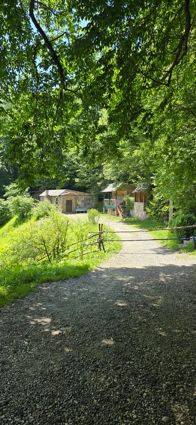 The image depicts a rural scene likely situated in Babugent, Russia, characterized by dense greenery and two rustic structures. In the foreground, a gravel path leads towards the structures, bordered by a simple wooden fence. To the left of the path, a grassy embankment is covered in lush vegetation and features a small, sparsely branched tree.

The first structure, on the left, appears to be a small building constructed with stone blocks and a corrugated metal roof. It has a single door and a bench positioned outside. Adjacent to it, on the right, are two smaller, wooden structures. One is a more elaborate, raised cabin with a porch and stairs, painted in green and red accents. The other is a simpler, open-sided shelter with a stone base and a thatched or similarly textured roof.

The background is dominated by a canopy of dense green leaves from mature trees, filtering the sunlight and creating dappled shadows on the ground. The overall impression is one of a secluded, natural setting, possibly a campsite or a small, rural settlement. No people are visible in the image.
