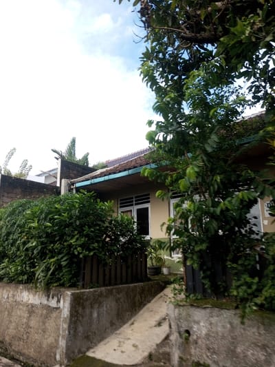 A single-story house sits nestled amongst lush greenery. The house, painted a light shade, has a dark, possibly tiled, roof. White-framed windows offer glimpses into the interior. A concrete wall and a partially obscured fence line the edge of the property, giving way to steps leading up to the house. Overhanging tree branches dominate the right side of the frame, with vibrant green leaves filling the view. The sky above is a mix of white and light blue.