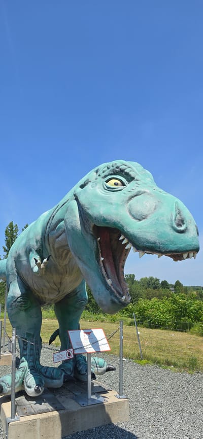 The image depicts a life-sized, green, artificial Tyrannosaurus Rex dinosaur statue, positioned outdoors in Saint-Léonard-d'Aston, Canada. The statue is detailed, with its mouth open, revealing sharp teeth and a red interior. It stands on a concrete platform surrounded by gravel. Metal posts and chains are installed around the base of the statue, serving as a barrier. Two signs are attached to a metal pole in front of the statue: one larger sign with a silhouette of a dinosaur and text, and a smaller sign with a red circle and a hand symbol, indicating a prohibition, along with French text. The background consists of a grassy field, lush green trees, and a clear blue sky. The lighting suggests it is a sunny day. There are no people visible in the image.