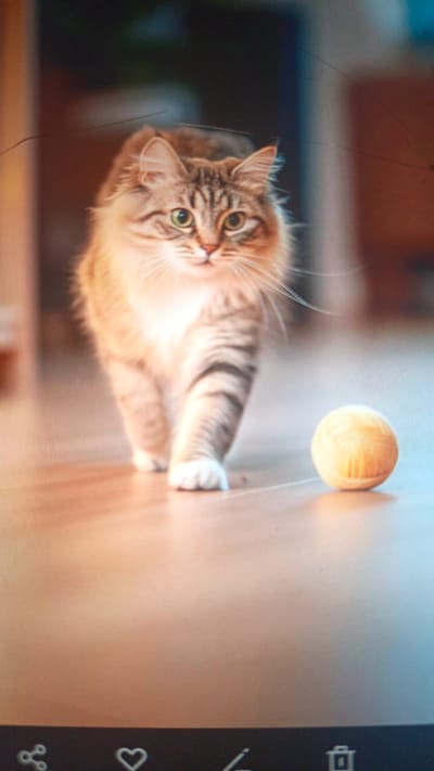 A fluffy, brown and white tabby cat with green eyes is walking towards the camera on a light brown wooden floor. A ball of yellow yarn is on the floor to the right of the cat. The background is dark and out of focus, with hints of furniture or walls. The image appears to be a photograph, possibly taken indoors. There is no discernible connection to Tundun Wada West, Nigeria, as the image does not contain any specific landmarks or contextual information that would place it in that location.