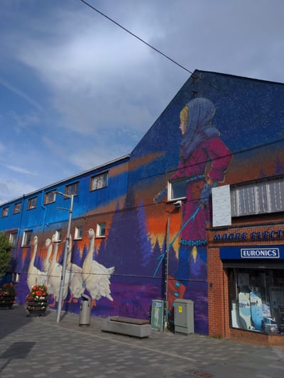 The image captures a vibrant mural on the side of a building in Ballymena, United Kingdom. The mural depicts a large, stylized figure of a woman wearing a blue headscarf and a magenta coat, set against a backdrop of a starry night sky and a forest scene with orange and purple hues. In front of the woman, a line of five white geese is painted, each with detailed feathers and some adorned with necklaces. The building itself has a corrugated metal facade painted in various shades of blue and orange.
Below the mural, a brick storefront with the signage "MOORE ELECTRIC" and "EURONICS" is visible. The shop window displays various white and blue appliances. The street in front of the building is paved with interlocking gray tiles. To the left of the building, there are potted plants with colorful flowers. Several street furniture items are present, including a lamppost, a metal trash bin, an electrical cabinet, and a concrete bench. The sky is partly cloudy, with patches of blue and white clouds. The overall scene suggests an urban environment with a strong artistic element.