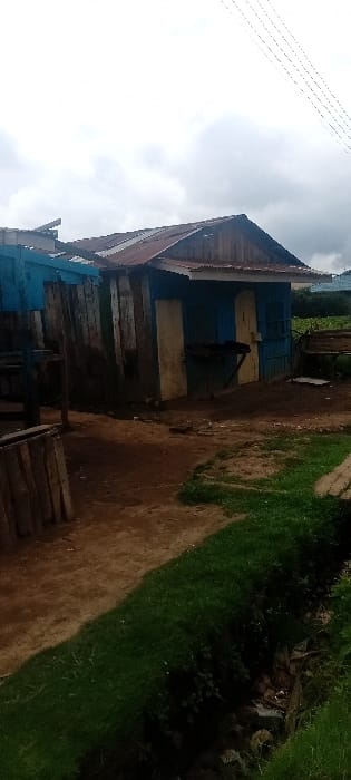 The image captures an outdoor scene in Kinale ward, Kenya, under an overcast sky. In the midground, a small, single-story structure with a steeply pitched, rusty corrugated metal roof stands on reddish-brown earth. The building's facade features two cream-colored doors or panels flanking a central blue section from which a dark, horizontal counter extends. To the immediate left, a partially visible blue wooden structure with vertical plank walls abuts the central building. In the lower-left foreground, a low wooden barricade or frame is visible. The foreground on the right contains a strip of green grass bordering a shallow, debris-filled ditch. A wooden bench or seating structure is present to the right of the main building. In the background, beyond the structures, dense green foliage is visible. Overhead, faint utility lines traverse the cloudy sky. No individuals are present in the scene.