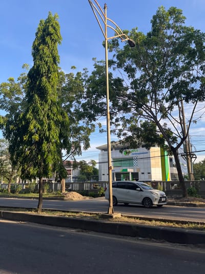 The image captures a street scene in Langsa, Indonesia, likely during daylight hours with clear blue skies. In the foreground, a paved road is visible, with a dark concrete curb separating it from a grassy median. A white minivan is driving on the road, facing towards the right of the frame. To the left of the road, a tall, slender, evergreen tree with dense foliage stands prominently. Behind this tree, a building with a modern facade, featuring white walls and green and yellow accents, is visible. The building has large windows and signage that includes the text "BPJS Ketenagakerjaan." Several other trees with green leaves are scattered throughout the scene, some taller and more mature than the evergreen. A lamppost with a light fixture is positioned near the evergreen tree, and electrical wires are strung overhead, supported by utility poles. The overall environment suggests an urban or suburban setting with a mix of natural elements and man-made structures.