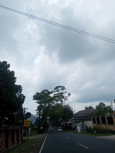 A ground-level, straight-on medium shot captures a road view in Ban Phouviengnoy, Laos, under a predominantly cloudy, overcast sky. Two black power lines cut across the top portion of the sky.
The road is dark asphalt with a yellow center line, leading into the distance where several indistinct vehicles are visible. The left side of the road is lined with trees, foliage, and a fence. A sign reading "SULTAN" is visible, along with other signs indicating "BILLIARD & CAFE," "RUMAH MAKAN," and "FRESH DRINKS & WIFI." The right side of the road also has a fence, lush grass, and several buildings, including a two-story structure. The scene suggests a suburban or semi-rural environment. No people are clearly visible.