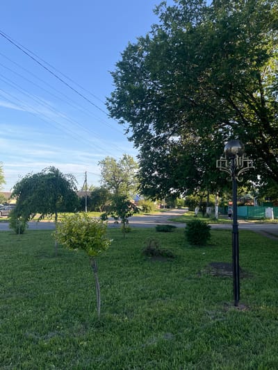 The image shows a street scene in Tikhoretsk, Russia, on a clear day. In the foreground, a well-maintained lawn features several young trees and bushes. A decorative black lamppost with ornate gold accents stands prominently on the right side of the frame. Beyond the lawn, a paved street runs horizontally, with a sidewalk on the right. Several houses with green fences line the street, and more trees are visible in the background. Power lines stretch across the bright blue sky. A person, seen from the back, is walking on the sidewalk in the mid-ground. Cars are parked on the left side of the street. The overall impression is a quiet, residential street in a suburban or small-town setting.