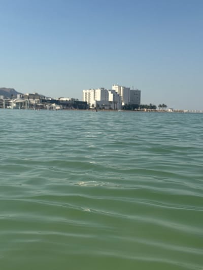 The image captures a waterfront scene with buildings and water. On the left side, a strip of buildings with white facades and multiple windows lines the coast. The architecture suggests a developed urban or resort area. Some buildings are taller, resembling hotels or apartment complexes, while others are shorter. Palm trees are visible interspersed between the buildings.
The right side of the image is dominated by the surface of the water, which appears to be a bay or sea. The water is calm, with gentle ripples reflecting the light, creating a shimmering effect. The color of the water is a muted green, possibly indicating its depth or composition. The sky above is a clear, pale blue, suggesting fair weather and a bright day.
The image is oriented vertically, with the buildings appearing to be at the bottom and the water at the top, implying it was taken from a low angle, possibly from a boat or the water's edge looking upwards. The lighting and clear sky suggest it is daytime, likely morning or afternoon, with no strong shadows indicating a specific time. No people are visible in the frame, focusing the attention on the architectural landscape and the natural element of the water. The scene evokes a sense of tranquility and a seaside vacation atmosphere.