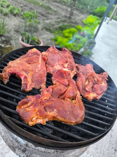 Four cuts of marinated red meat are actively grilling on a circular charcoal barbecue. The raw or partially cooked meat, which appears to be pork steaks or chops, is covered in a reddish-orange spice rub and rests on black metal grates. Wisps of smoke are rising from the grates, indicating active cooking over visible glowing charcoal beneath. The barbecue unit features a worn, metallic base.

The scene is outdoors, set in a rural or garden environment in Priseltsi, Bulgaria. In the blurred background to the left, tilled, light-colored soil is visible with sparse green vegetation, alongside a terracotta pot containing upright green plants, possibly chives or scallions, and a rough wooden stump. To the right, dense green foliage is present next to a concrete or paved surface and a dark, vertical metal support structure. No individuals are depicted in the frame.