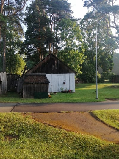 The image depicts a rural scene in Milzkalne, Latvia, featuring a collection of wooden buildings amidst lush greenery and mature trees. In the foreground, a paved pathway runs horizontally across the frame, with a patch of grassy ground dotted with small white flowers adjacent to it. Behind the pathway, a larger wooden structure, likely a barn or shed, stands with a dark, weathered roof and white siding. Attached to its side is a smaller, older wooden outbuilding with a corrugated metal roof. The buildings are surrounded by a well-maintained lawn. In the background, a tall lamppost stands to the right, and a dense forest of trees forms a backdrop. The sky is a light blue with some hints of clouds, suggesting it is daytime. The overall impression is one of a peaceful, natural setting with utilitarian structures. There are no people visible in the image.