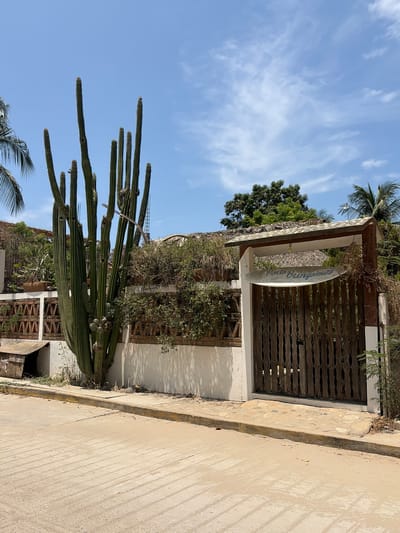 The image shows a street scene in Brisas de Zicatela, Mexico. A large cactus stands on the left side of the frame, next to a white wall with some bushes in front of it. Behind the wall is a gate made of dark wood, and a white surfboard-shaped sign is above the gate, reading "Pina Bungalows." A portion of a street runs along the right side of the frame. The sky is blue with some clouds. The overall environment appears tropical and arid.